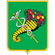 Харківська міська рада
